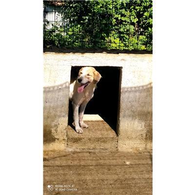 COMUNE DI VALLE AGRICOLA - 380260100705269