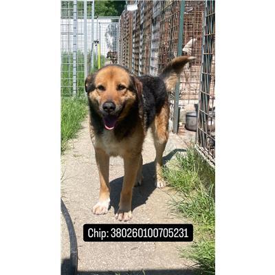 COMUNE DI VALLE AGRICOLA - 380260100705231