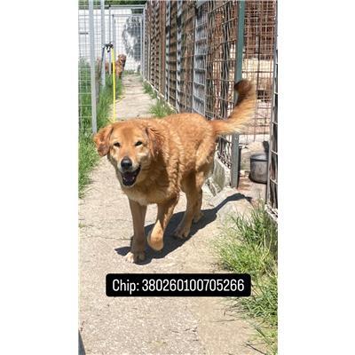 COMUNE DI VALLE AGRICOLA - 380260100705266