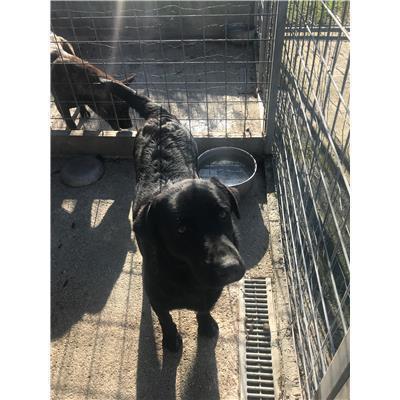 COMUNE DI VENAFRO - 380260043378205