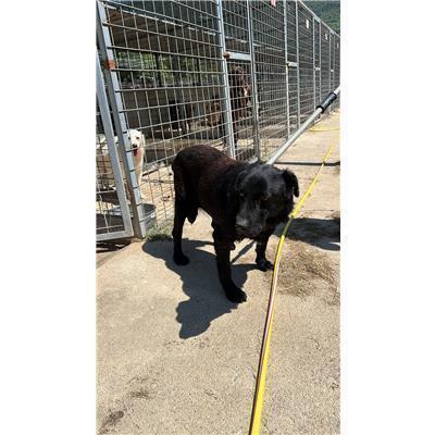 COMUNE DI VENAFRO - 380260043378205