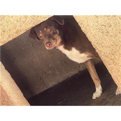 COMUNE DI FONTEGRECA - 380260101087573