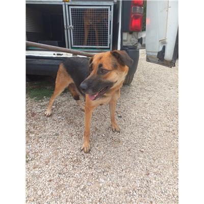 COMUNE DI RAVISCANINA - 380260045141281