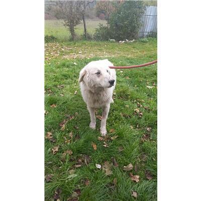 COMUNE DI CERRO AL VOLTURNO - 380260044469489