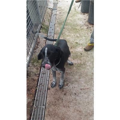 COMUNE DI VINCHIATURO - 380260170316450