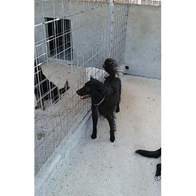 COMUNE DI PIEDIMONTE MATESE - 380260010209796